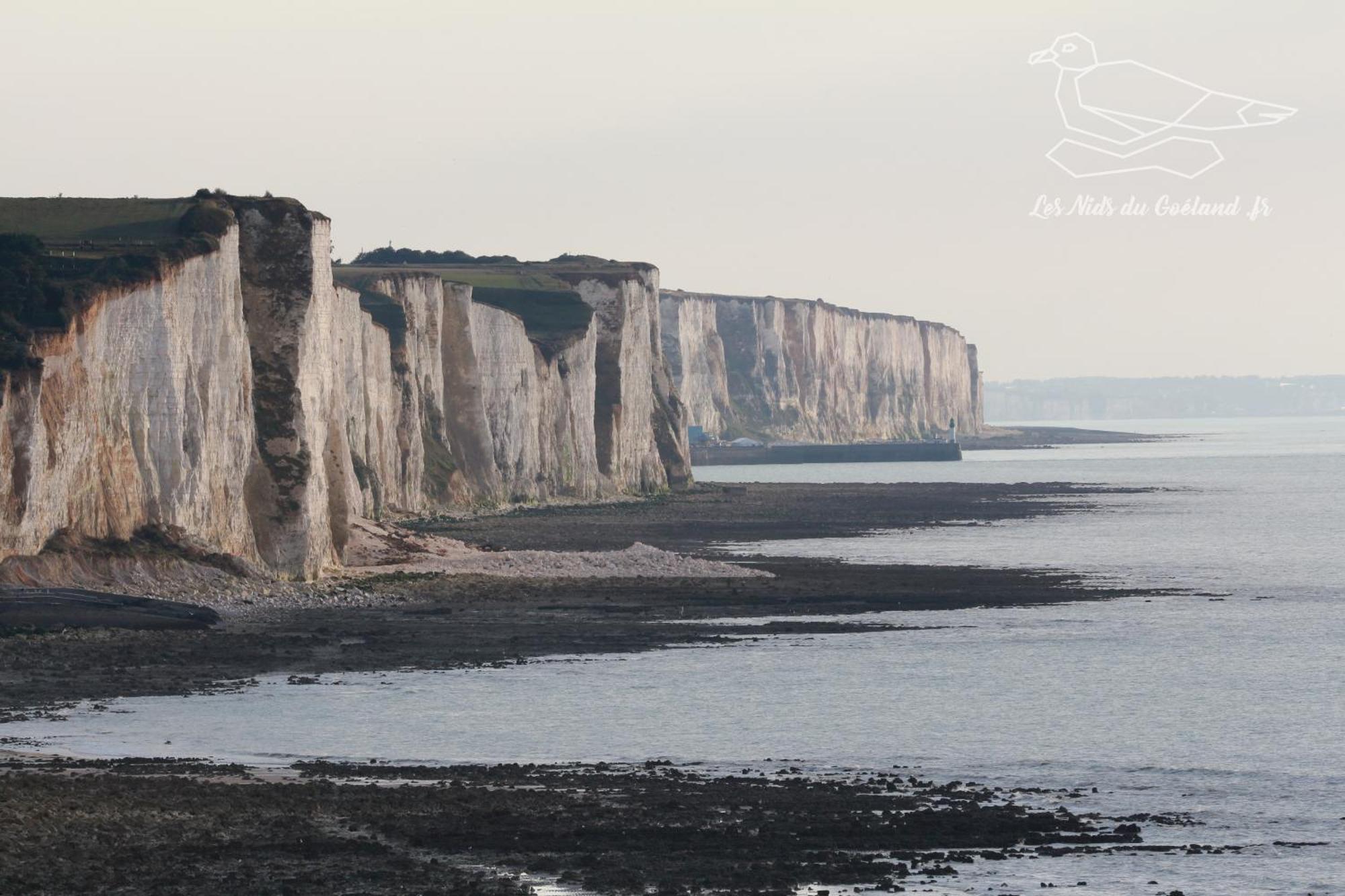 Gite Oasis Ault - Cine, Balneo & Confort A La Mer المظهر الخارجي الصورة